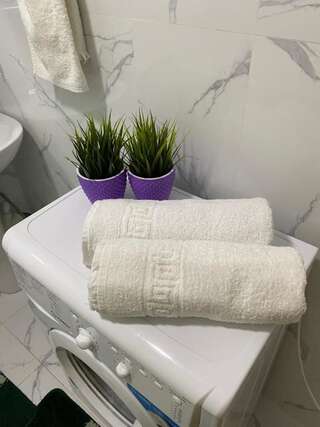 Апартаменты Оригинальная 1 ком квартира в сердце Алматы Алматы Апартаменты с 1 спальней-17