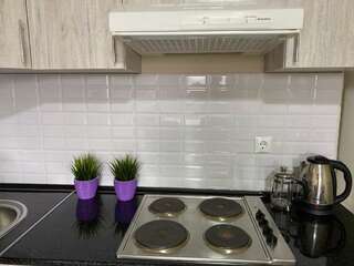 Апартаменты Оригинальная 1 ком квартира в сердце Алматы Алматы Апартаменты с 1 спальней-19