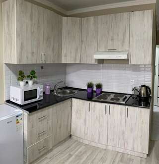 Апартаменты Оригинальная 1 ком квартира в сердце Алматы Алматы Апартаменты с 1 спальней-2