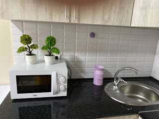 Апартаменты Оригинальная 1 ком квартира в сердце Алматы Алматы Апартаменты с 1 спальней-6