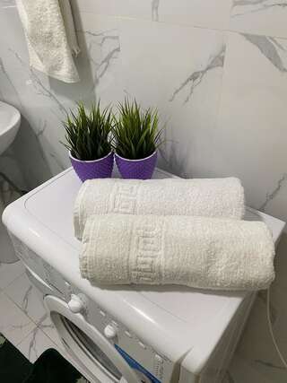 Апартаменты Оригинальная 1 ком квартира в сердце Алматы Алматы Апартаменты с 1 спальней-7