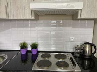 Апартаменты Оригинальная 1 ком квартира в сердце Алматы Алматы Апартаменты с 1 спальней-9